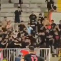 Marinika Tepić objavila snimak tuče na tribini Vojvodine: „Uprava na čelu s Dragoljubom Zbiljićem pokušala silom da pokori…