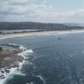 Surfer stradao u napadu ajkule kod obale Sidneja: Prvi smrtonosni napad od 2022. godine