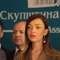 Mesarović o "strašnom tretmanu" tokom prelaska hrvatske granice, policija demantuje: Reč o redovnoj proceduri