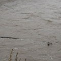 I ovo je sila prirode u Srbiji: Evo kako izgleda kada se Gradac naljuti, ništa nije ostalo (snimak)