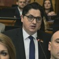 Izmene „Mrdićevih zakona“: Održano javno slušanje, deo struke nije učestvovao zbog kasnog objavljivanja nacrta (VIDEO)