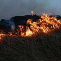 Čaušić: Ove godine 9.888 požara na otvorenom, apel da se ne pale strništa