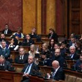 Mitrović: Konstitutivna sednica mora da bude poništena zbog proceduralnih brutalnosti