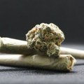 Kancelarija: U Srbiji ove godine zaplenjeno više od tri tone droge, marihuana se najviše koristi