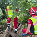 (Foto, video) Drama na Fruškoj gori: Mladić (20) pao sa velike visine: Hitno počela akcija spasavanja