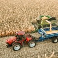 Prinos kukuruza u Evropi ispod proseka