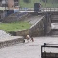 Neverovatan prizor na reci Đetinji u Užicu: Dvojica muškaraca opušteno se brčkaju u hladnoj vodi dok kiša pljušti…