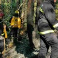 Tri požara besne u Srbiji! U gašenju vatre učestvuju i helikopteri!