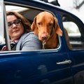 Pogledajte unikatne automobile iz Srbije koje retko viđamo u saobraćaju - Cars&Coffee Serbia