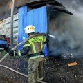 Požar u zoološkom vrtu u Rusiji, nastradalo 28 krokodila i jedna kornjača