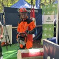 Ministar poljoprivrede kaže da je pošumljenost Srbije na evropskom nivou: „Seča šuma prirodan proces kojim se podstiče sadnja…