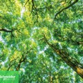 Distributivni centar kompanije Schneider Electric u Evreu proglašen Svetionikom održivosti po izboru Svetskog ekonomskog foruma…
