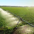 Istočna Srbija prioritet u borbi protiv suše: Do juna nova zakonska rešenja za problem navodnjavanja