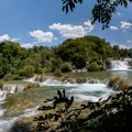 U Nacionalnom parku Krka otkriveno retko i misteriozno stvorenje: Privukla ga je svetlosna zamka