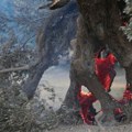 Veliki šumski požari na Kritu, troje vatrogasaca poginulo