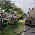 Zelenilo: Zalivanje drveća i cveća na više od 40 lokacija u Novom Sadu