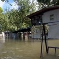 Dunav poplavio čitavo naselje kod Sombora: Meštani kuće obilaze čamcima, a ova mala maca ostala je sama i nema šansi da je…