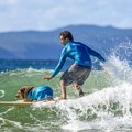 Surf takmičenje za pse u Australiji je najlepša stvar koju ćete videti danas