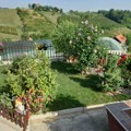 Raspisan konkurs za izbor najlepšeg dvorišta Užica