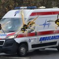 Muškarac umro od uboda stršljena! Užas u Beogradu