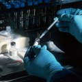 Veliko otkriće: Naučnici pronašli način za proizvodnju prirodnog antibiotika