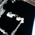 NASA je poslala 12,5 miliona semenki paradajza u svemir: Vratili su ih šest godina kasnije - evo kod koga su završile