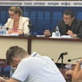 Pred odbornicima pomoć porodicama dece obolele od teških bolesti i promene u upravnim odborima