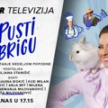 Ne propustite popodne sa ljiljom Stanišić! Lepa Lukić, Milena Ćeranić i Anja Mit dovele atmosferu do usijanja
