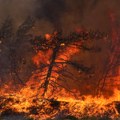 Veliki šumski požar u severnoj Grčkoj, evakuisano osam sela
