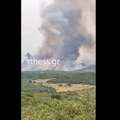 Požar na Halkidikiju: Gori kod Poligirosa (video)