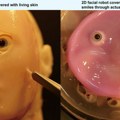 Naučnici napravili lice robota od ljudske kože: Da li vam je ovaj osmeh jeziv ili simpatičan?