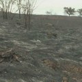 (VIDEO) Devastirano poljoprivredno zemljište: Mnogo ljudi ostalo bez krova nad glavom i svega što su imali