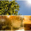 Spremni za vrelinu? Ovo je prognoza za sledećih 10 dana! Sunce i vrelina će zahvatiti zemlju, a ova oblast je posebno ugrožena…