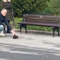 Najslađa scena na Kalemegdanu: Dok su ljudi šetali, pridružio im se krzneni, razigrani stvor, pa sve raznežio