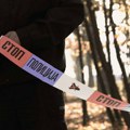 SEKLI ŠUMU I LAŽNO OBELEŽAVALI DRVA: Uhapšeni, šteta veća od 1,2 miliona dinara