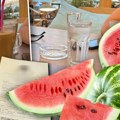 Poludeli smo kad smo videli da se na Adi lubenica plaća 1.650 dinara! Odjurili smo tamo i razotkrili istinu