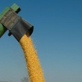 Na Produktnoj berzi kukuruz poskupeo oko dva odsto, pšenica pojeftinila 1,2 odsto