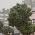 Novi Pazar zahvatilo jako nevreme: Vetar obarao stabla u centru grada