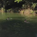 Skriveno mesto sa uređenim plažama u Srbiji! Uživanje u netaknutoj prirodi privlači sve veću pažnju, odmor zagarantovan