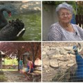Ima jedno mesto gde se životinje vole, a ulaznica se ne plaća! U neobični mini zoo vrt u Temerinu ulazi se osmehom, a izlazi…