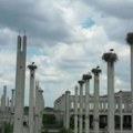Najveća urbana kolonija roda u Evropi je u Novom Sadu - 61 gnezdo nalazi se na stubovima napuštenog industrijskog objekta, a…