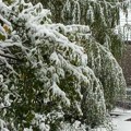 Meteorolog Sovilj: Prestanak padavina sutra popodne, istorijske visine snega u oktobru
