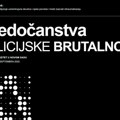 Izrađen sajt “Svedočanstva policijske brutalnosti”, o nasilju nad građanima u Novom Sadu
