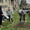 Građani Šapca udruženi u zelenoj akciji