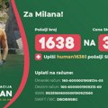 Milanu je potrebna pomoć za transplantaciju bubrega