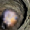 Horor u bunaru kod Aleksinca! Uznemirujući prizor! Razbacani su svuda po selu, evo na šta se sumnja.