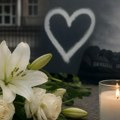 Srbija zauvek pamti: Ribnikar, Dubona i Malo Orašje – Rana koja ne zarasta