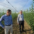 Glamočić: Od kvalitetne sadnice počinje konkurentno srpsko voćarstvo