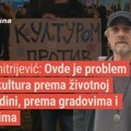 Dimitrijević: Ovde je problem nekultura prema životnoj sredini, prema gradovima i selima