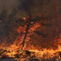 Micotakis: Nedelju dana besplatno na Rodosu za one koji su otišli zbog požara